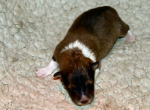 vivi 4 Tage vivi 4 Tage